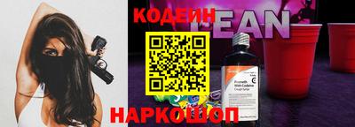 a pvp Камышлов