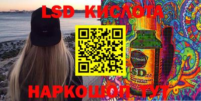 a pvp Камышлов