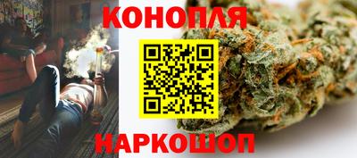 a pvp Камышлов