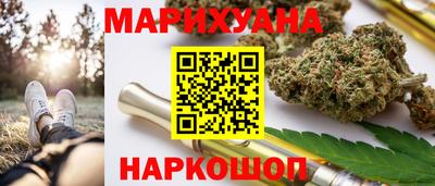 a pvp Камышлов