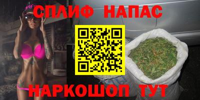 a pvp Камышлов