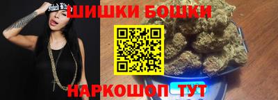 a pvp Камышлов